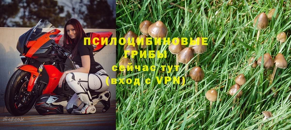 стаф Сатка