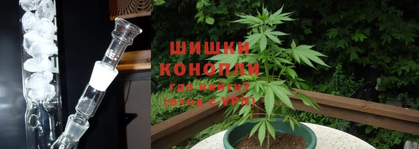 сатива Саяногорск